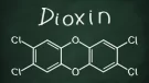 O que é a dioxina (e porque é perigosa para a nossa saúde)