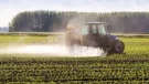 Cele mai controversate 12 pesticide care ar trebui interzise în Europa (dar care sunt încă folosite)