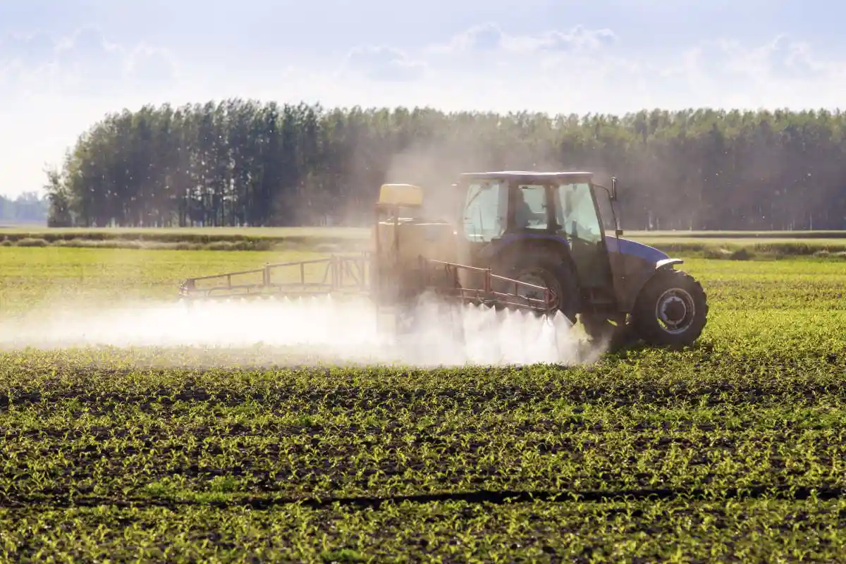 Cele mai controversate 12 pesticide care ar trebui interzise în Europa (dar care sunt încă folosite)