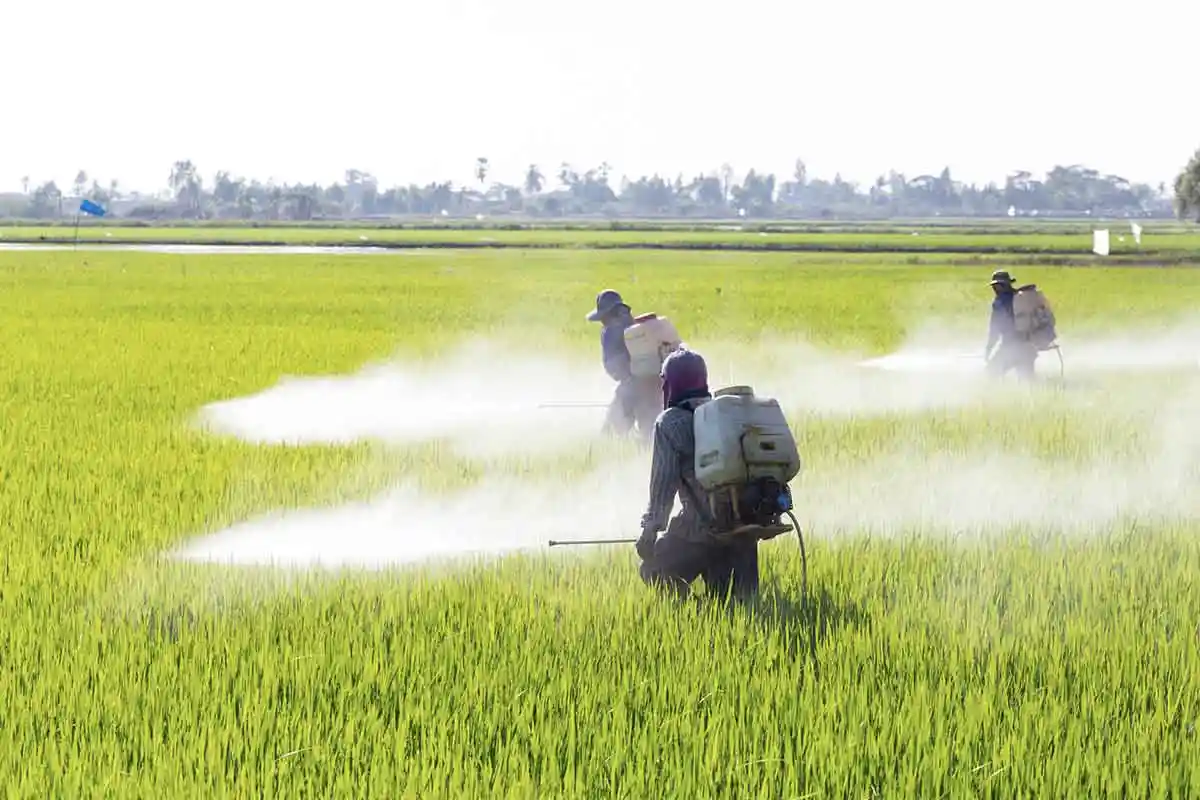 Peste 1.000 de tone de pesticide ilegale care ne otrăvesc mesele și mediul înconjurător, confiscate în Europa