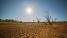 En España, hay un calor anómalo que llega antes y una sequía que dura 32 meses